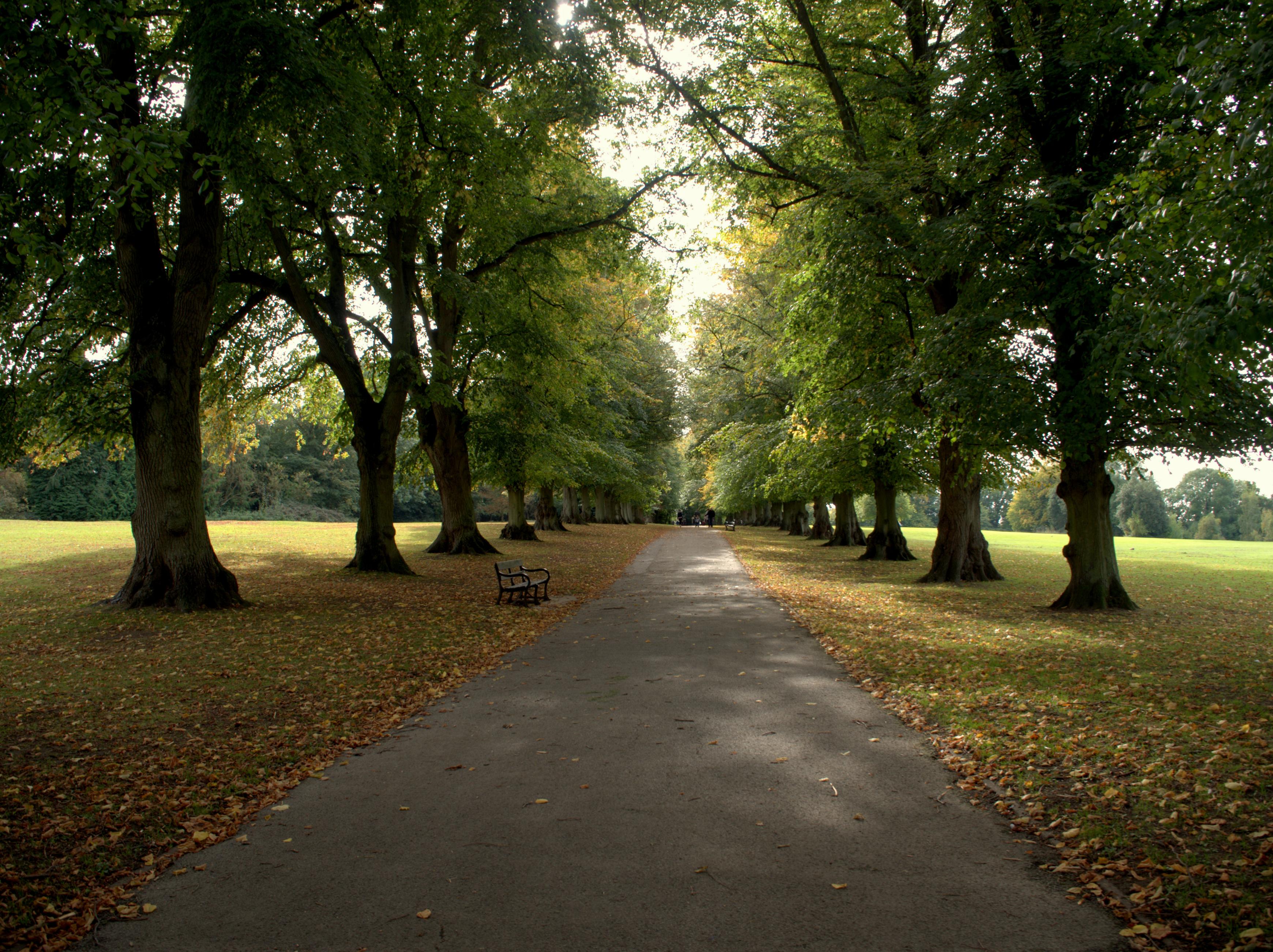 Harpenden Trust Christmas Appeal 2024 Volunteers Needed The